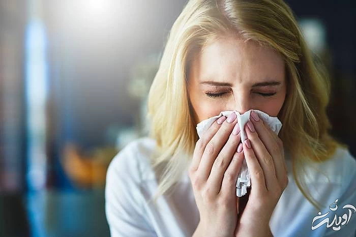 فوايد نيش زنبورعسل خواص نيش زنبورعسل